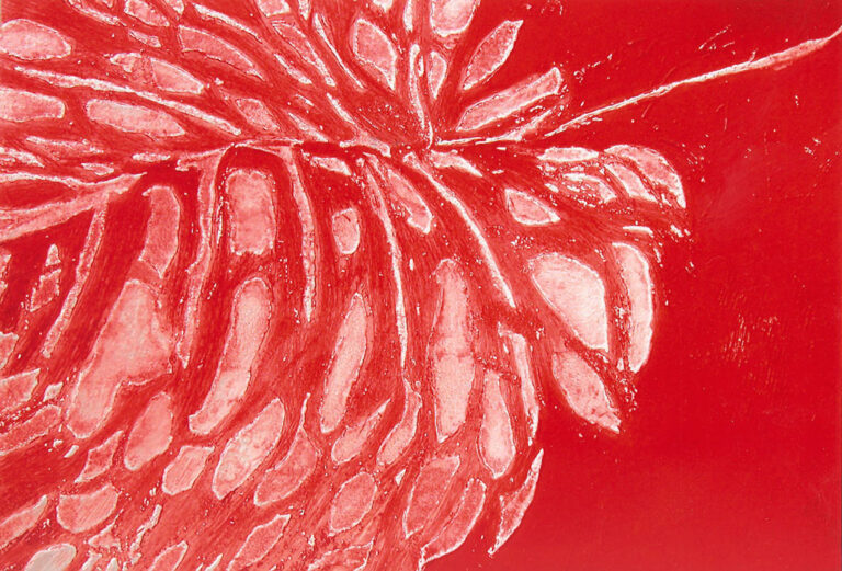 Symphonie der Natur in Rot, Kupferdruck, 22 x 31 cm, 2002